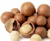 macadamia